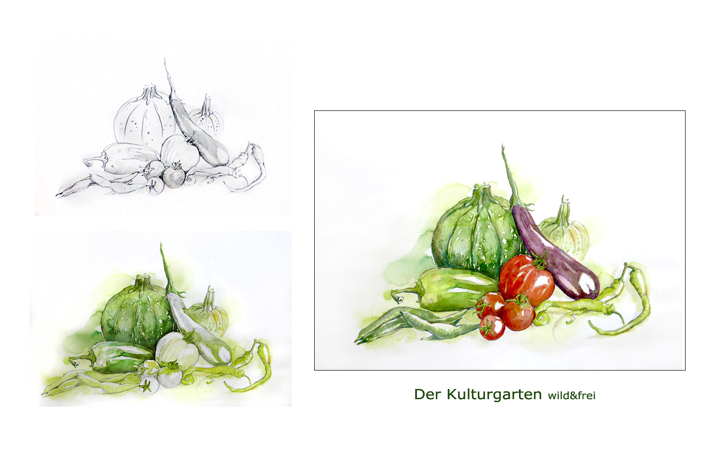 Zuchini - Tomaten - Paprika - Melanzani - Ernte 2017 - Ein Bild entsteht