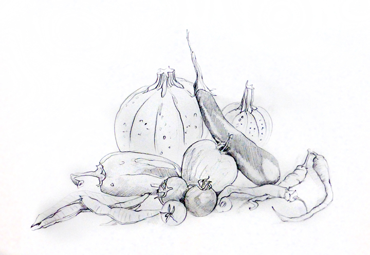 Zuchini Tomaten Paprika 01 - Ernte 2017 zweite Skizze