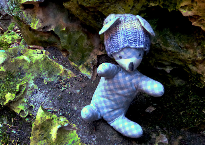 Burschi klettert auf einen hohen Felsen