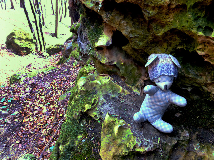 Burschi klettert auf einen hohen Felsen