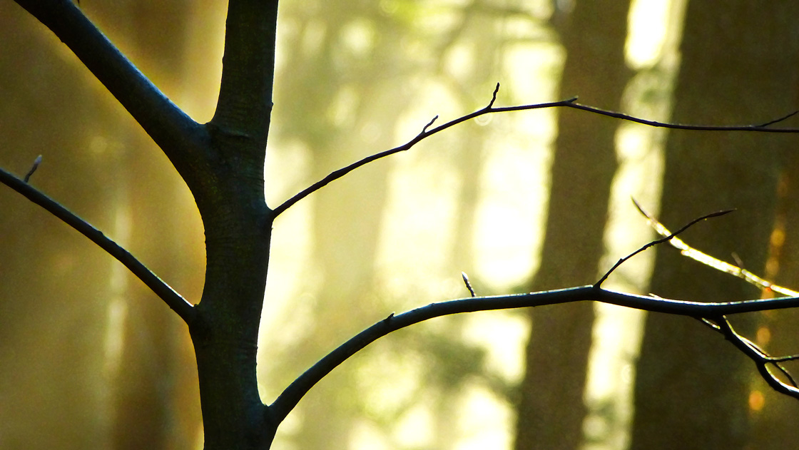 Herzensbildung schärft den Blick
