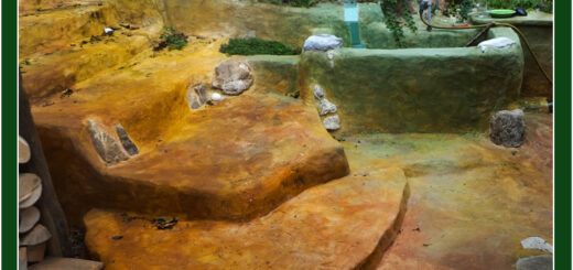 Waschbecken und Stiegenaufgang in den Kulturgarten