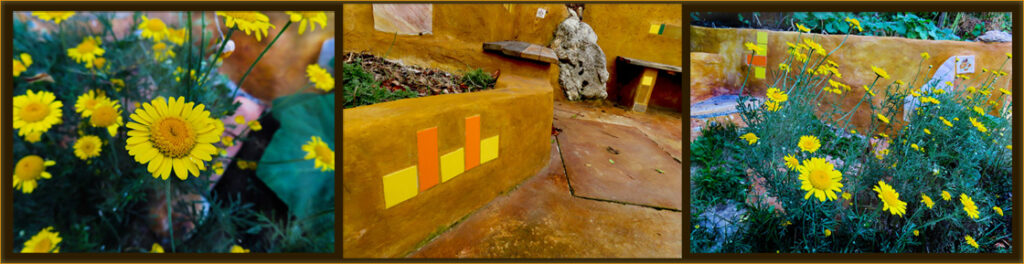 Der gelbe Balkon an der großen Straße inmitten gelber Färberkamille