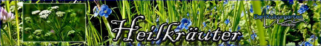 Der Kulturgarten wild und frei - Die Heilkräutertafel