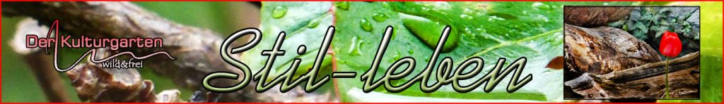 Der Kulturgarten wild und frei - Stillebentafel 01