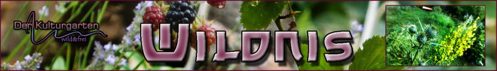 Der Kulturgarten wild und frei - Wildnistafel 01