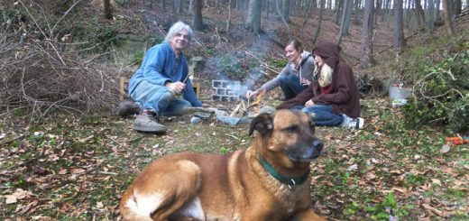 Die Einweihung der Lagerfeuerstelle