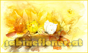 Sabine Floner Logo 01 Webseite