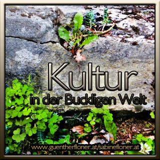 Kultur in der Buckligen Welt - Der Wildklee beim Stein