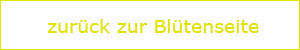 zurück zur Blütenseite