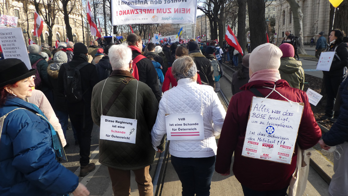 Demonstration gegen Pflichtinjektionen - Das Schweigen der Mehrheit