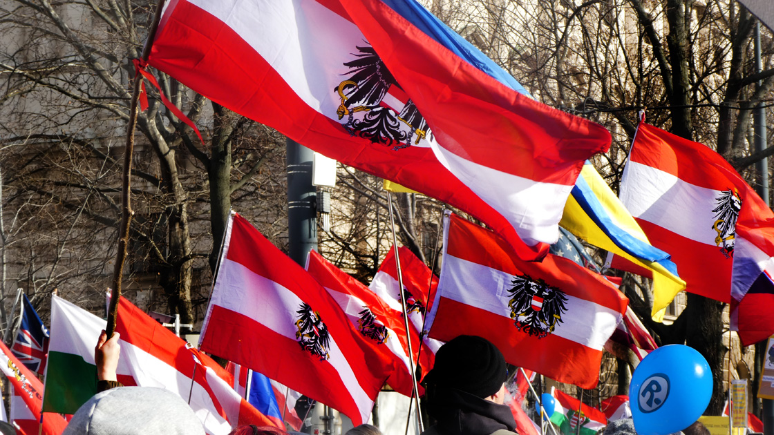 Demonstration gegen Pflichtinjektionen - Fahnen