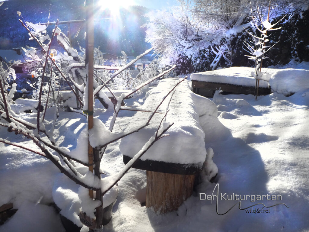 .Winter im Kulturgarten wild und frei - Das Licht im Februar