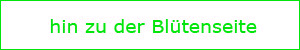 hin zur Blütenseite