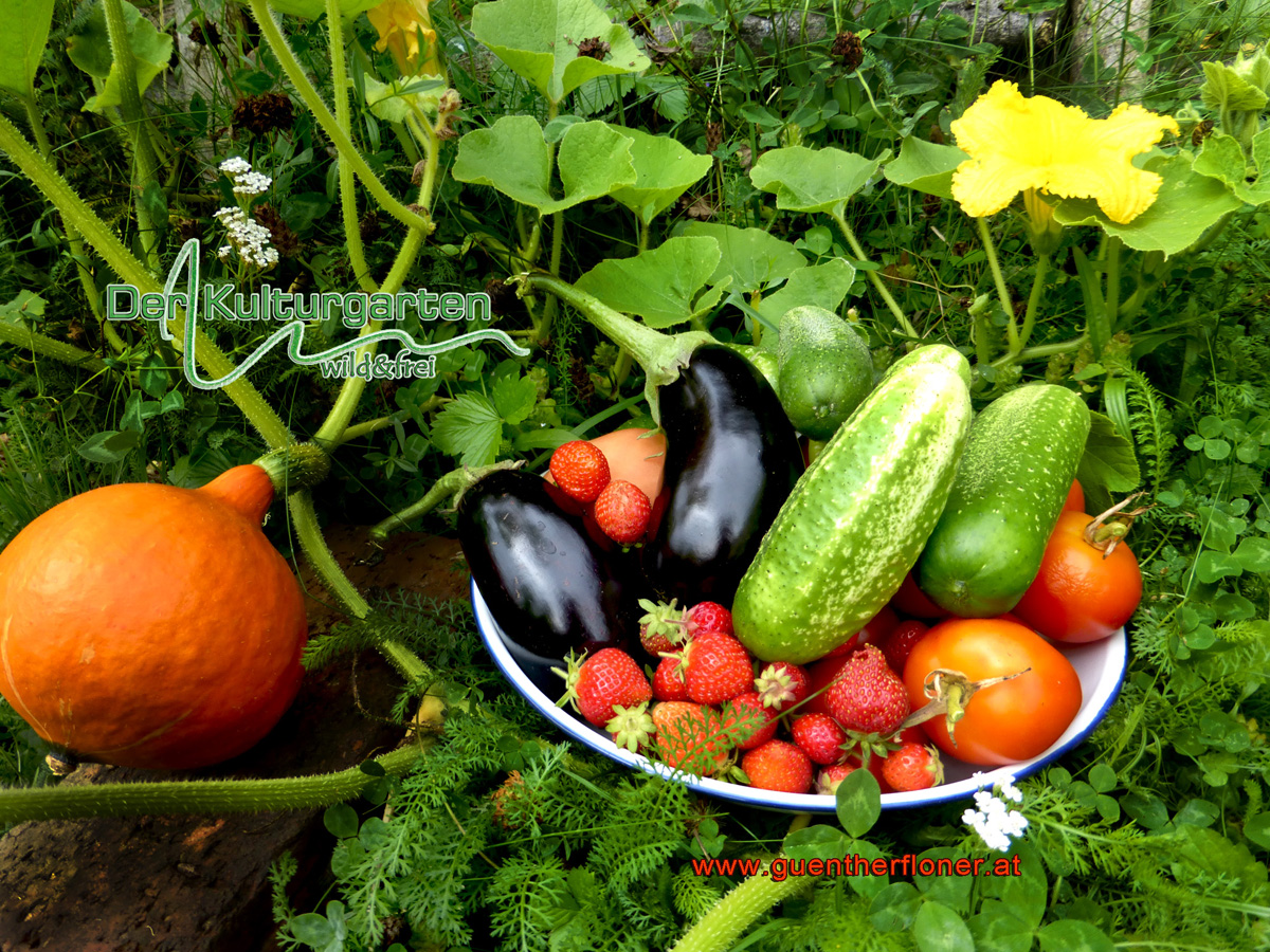 Der Kulturgarten - Reiche Ernte 01
