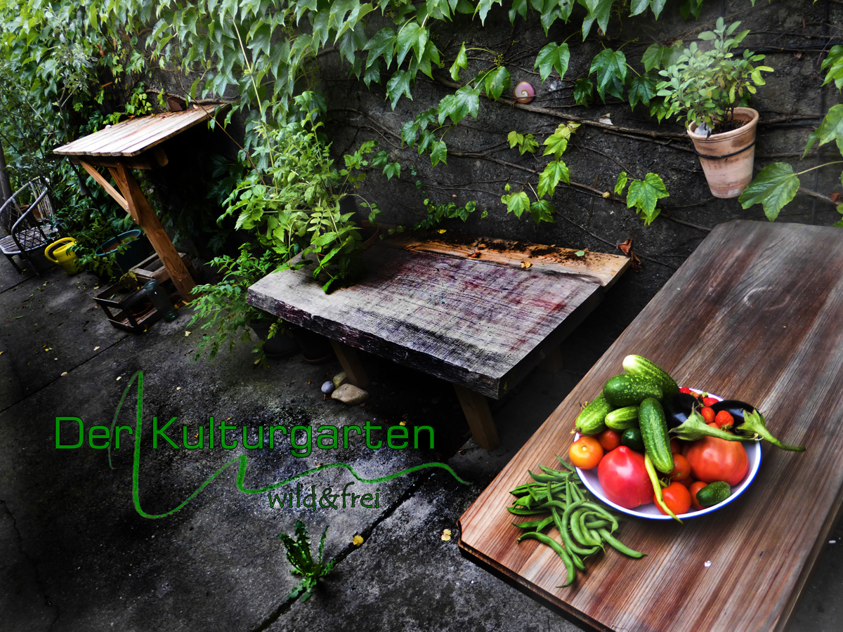 Der Kulturgarten - wild&frei 01 - Im Innenhof