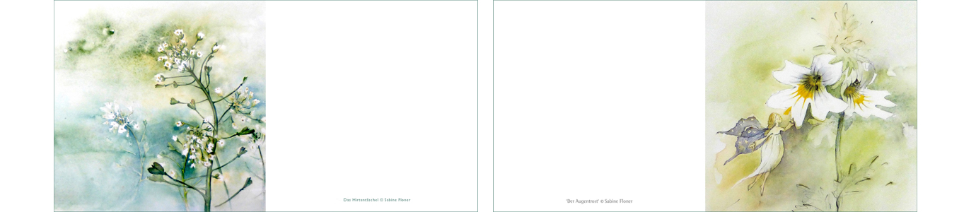 Kunstpostkarten Sabine Floner - pictureline 01 Heilkräuter