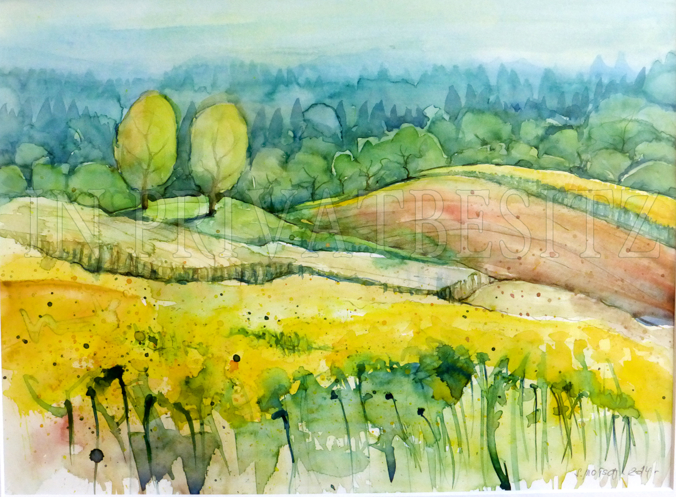 Aquarell 106 - Hochsommer