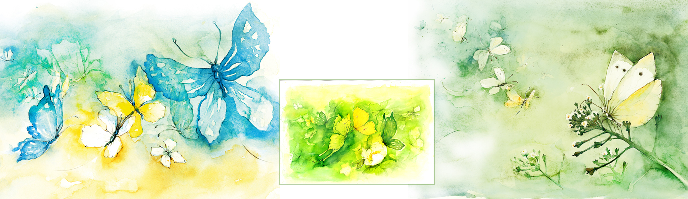 pictureline 01 - Schmetterlinge