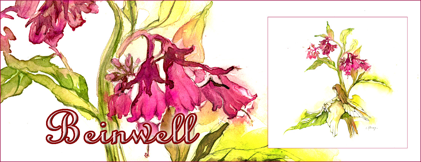 pictureline 01 - Beinwell