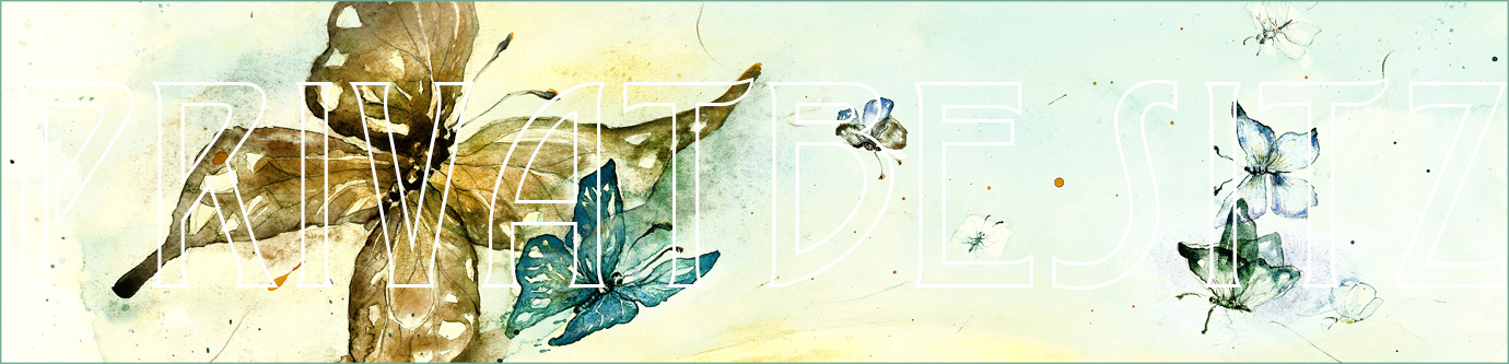 pictureline Schmetterlinge Die Weite