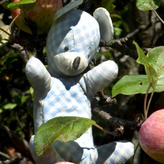 Burschib Bär - Im Apfelbaum