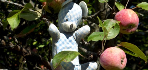 Burschib Bär - Im Apfelbaum