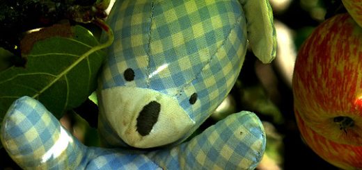 Burschi Bär - Im Apfelbaum