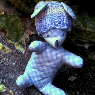 Burschi klettert auf einen hohen Felsen