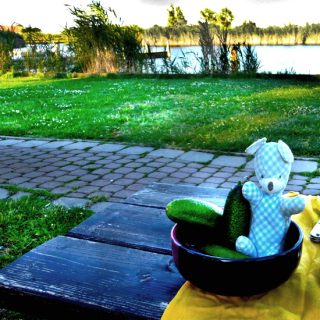 Burschi beim Picknick am Strand
