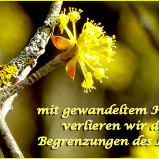mit gewandeltem Herzen
