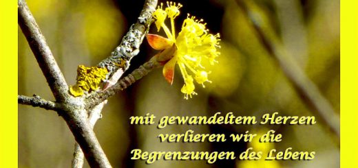 mit gewandeltem Herzen