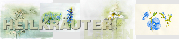Pictureline 07 Heilkräuter helfen leben