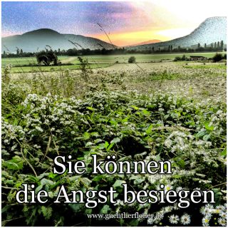 Bildende Beratung - Sie können die Angst besiegen