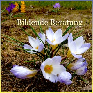 Bildende Beratung - Für Menschen, die sich weiterentwickeln wollen