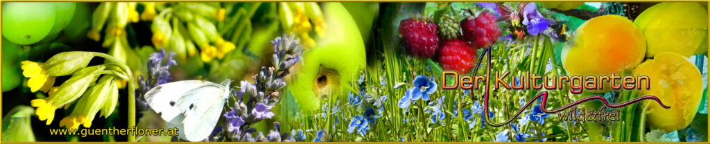 Der Kulturgarten wild und frei