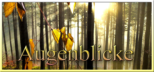 Augenblicke