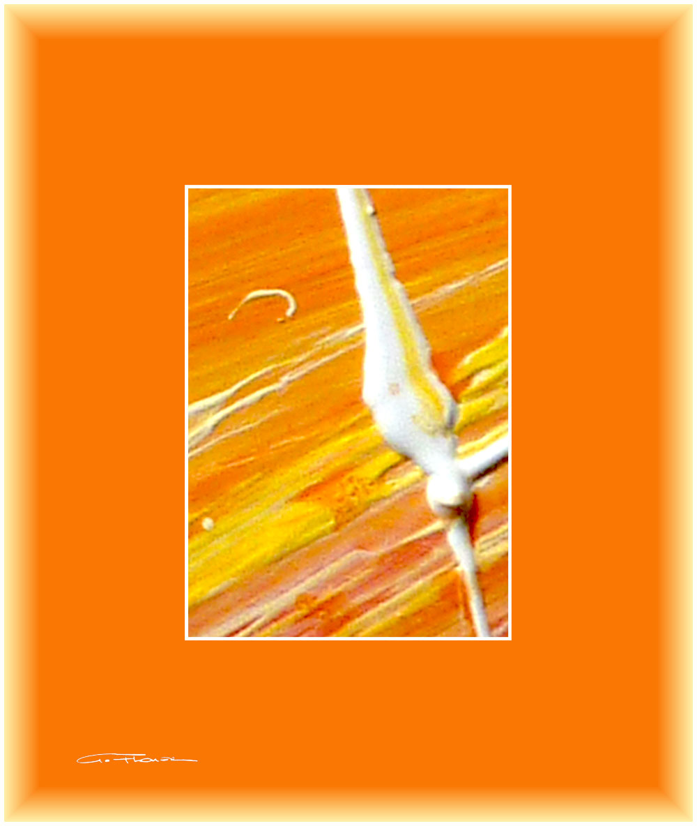 Farbe und Licht - orange first