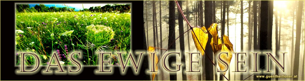 pictureline03c.dasewigesein.signed1200m320px