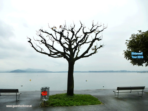 Bilderwelt-Tour 2013