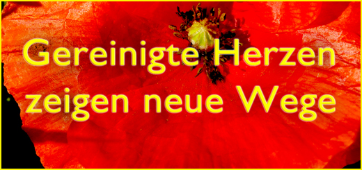Gereinigte Herzen zeigen neue Wege