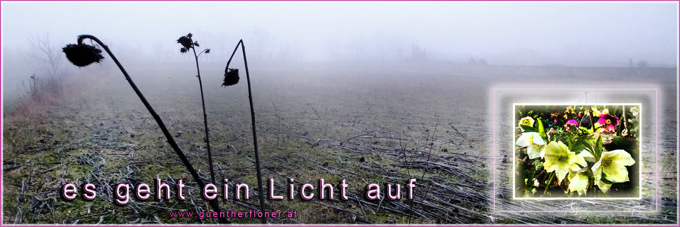 Augenblicke - pictureline 04 - Ein Licht geht auf