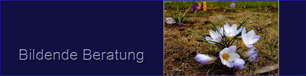 Bildende Beratung - Der bunte Weg durch das Schicksal