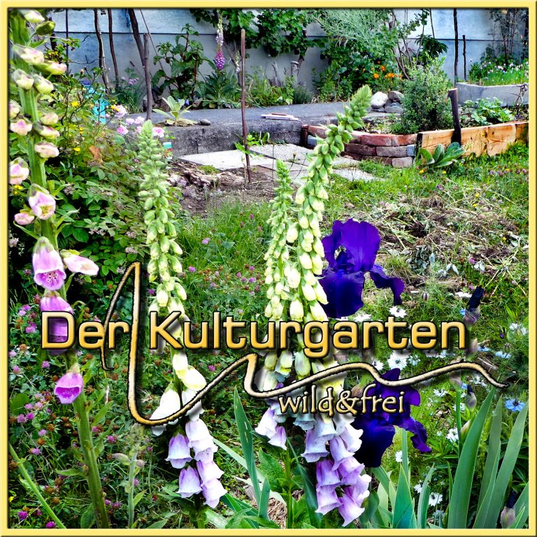 Wenn Sie hier klicken, öffnet sich die Webseite Der Kulturgarten wild und frei