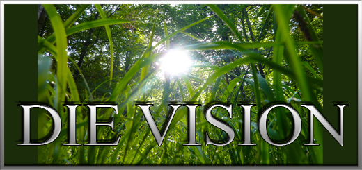Die Vision