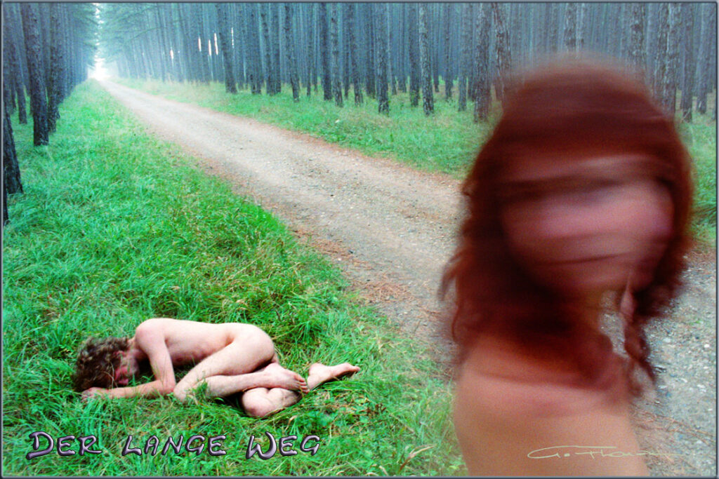 SCHREIE - Der lange Weg