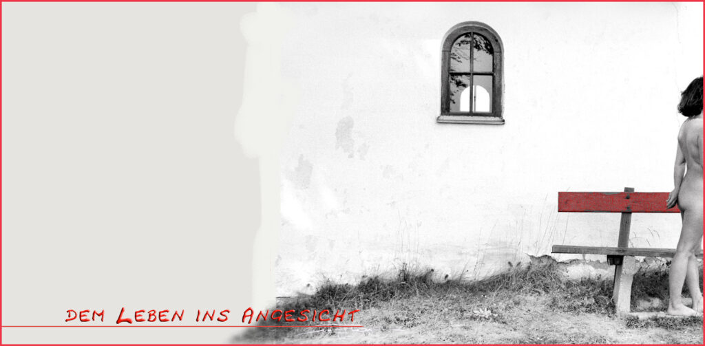 SCHREIE - dem Leben ins Angesicht