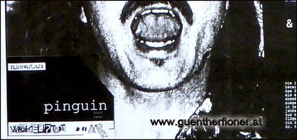 pinguin - Die Befreiung der Jugend-Kultur in Wr. Neustadt