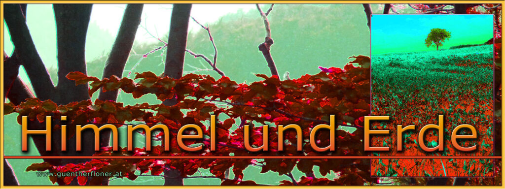 Günther Floner Bildende Kunst im Garten der Schöpfung